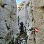 mali princ, crnopac, velebit (11)