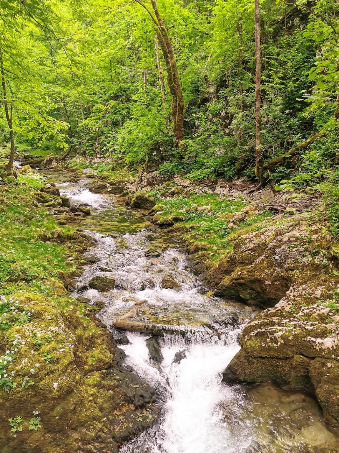 Zašto je kanjon Kamačnik destinacija koju baš svatko treba posjetiti?