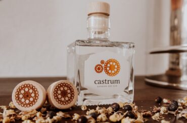castrum_gin