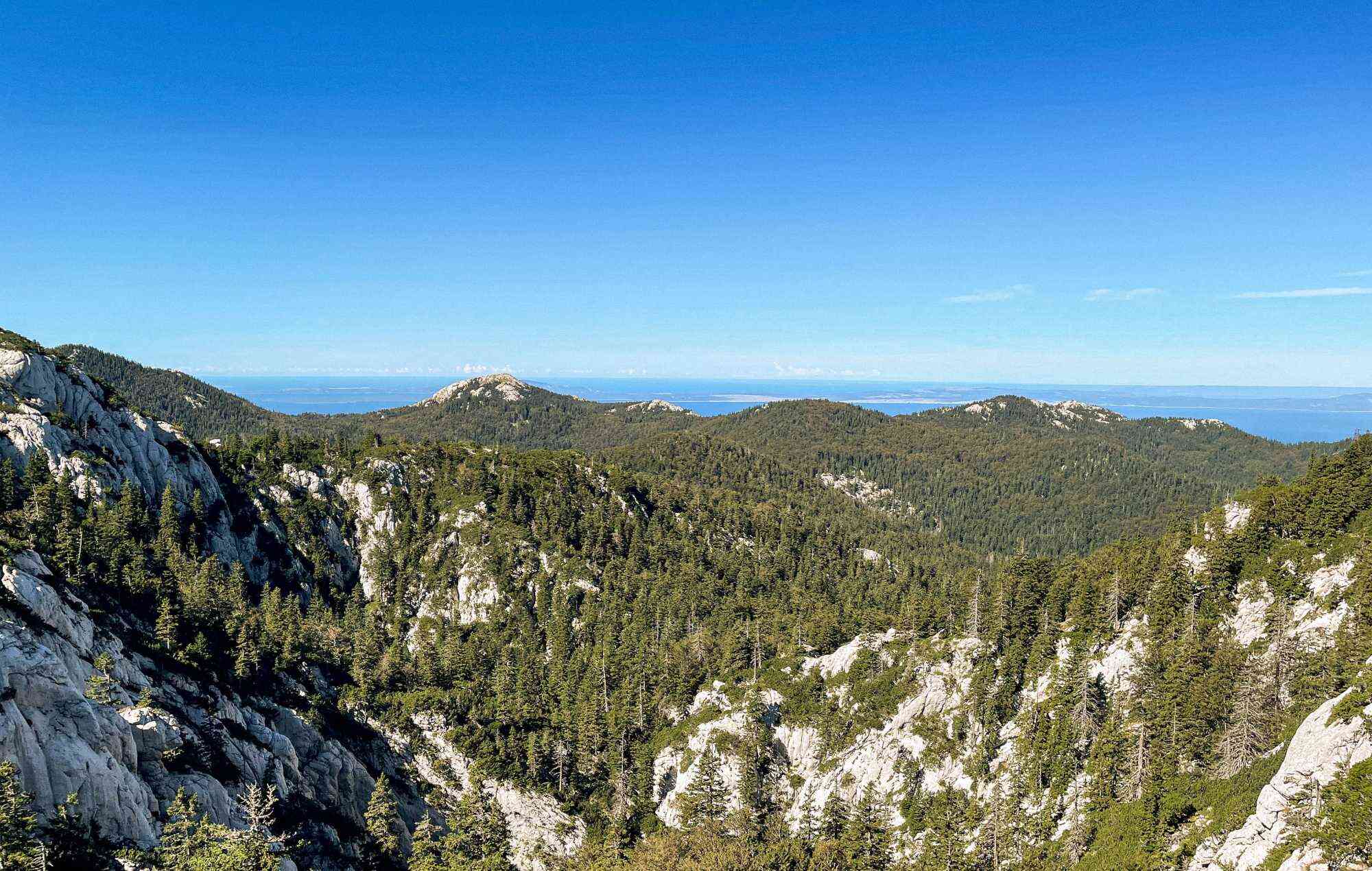 premuziceva-staza