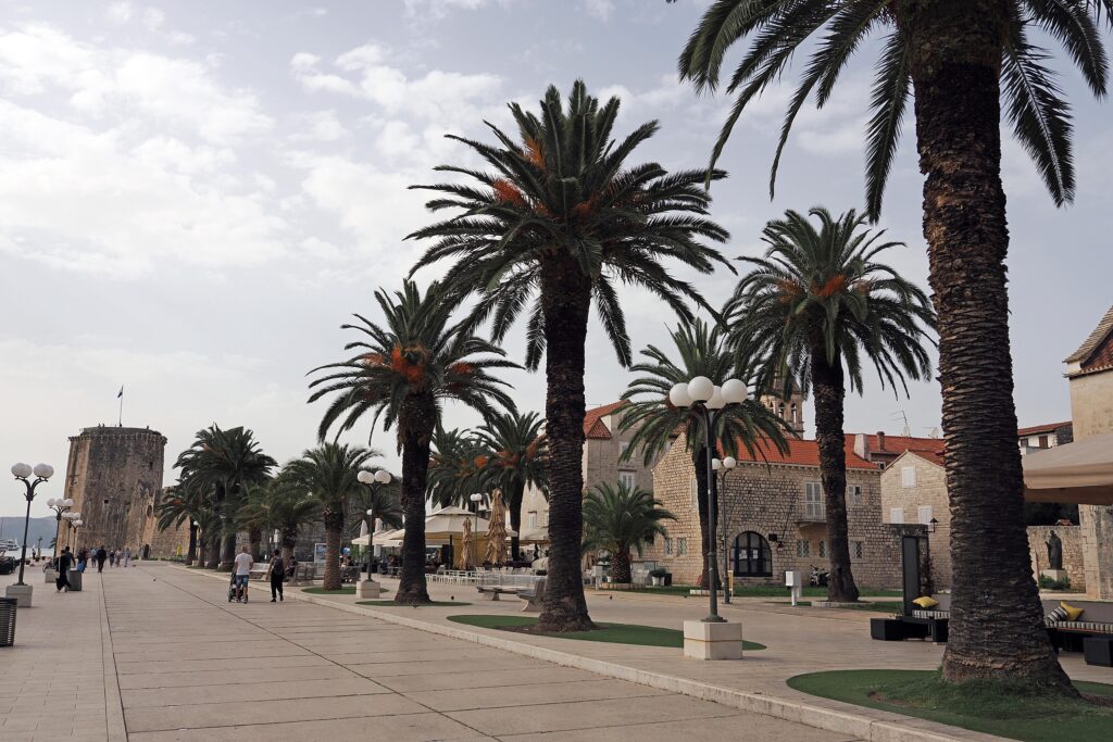 Split