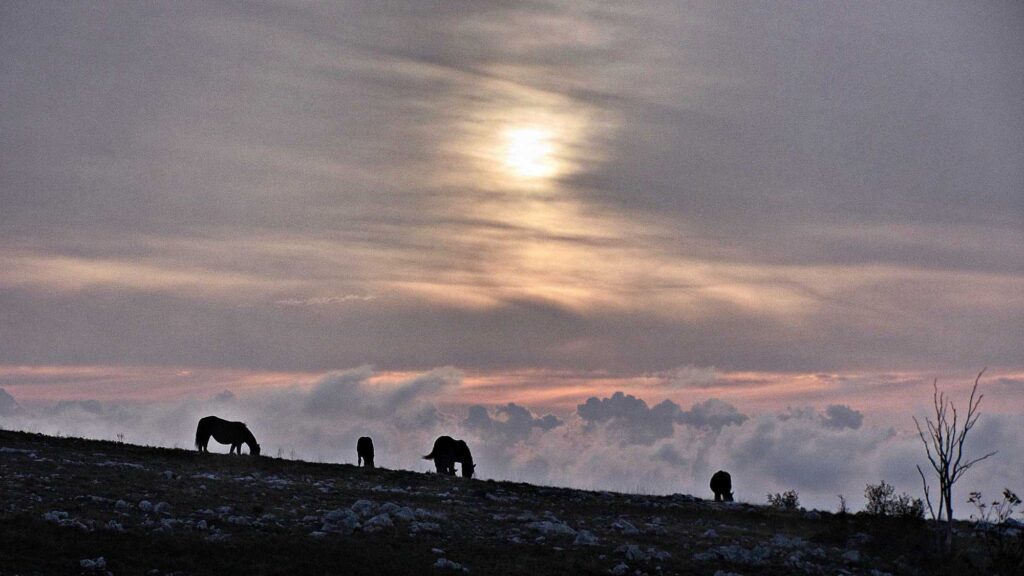 via-adriatica-trail-go-wild