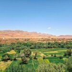 maroko_pustinja_sahara81