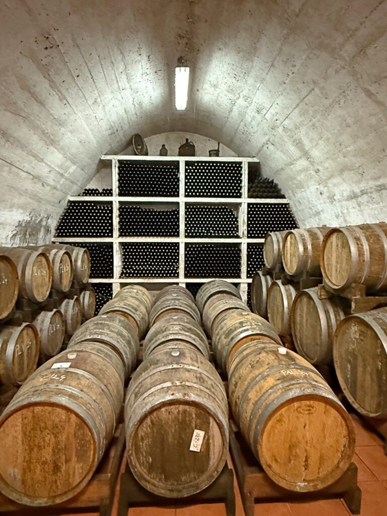 Krstarenje-Katarina-Line