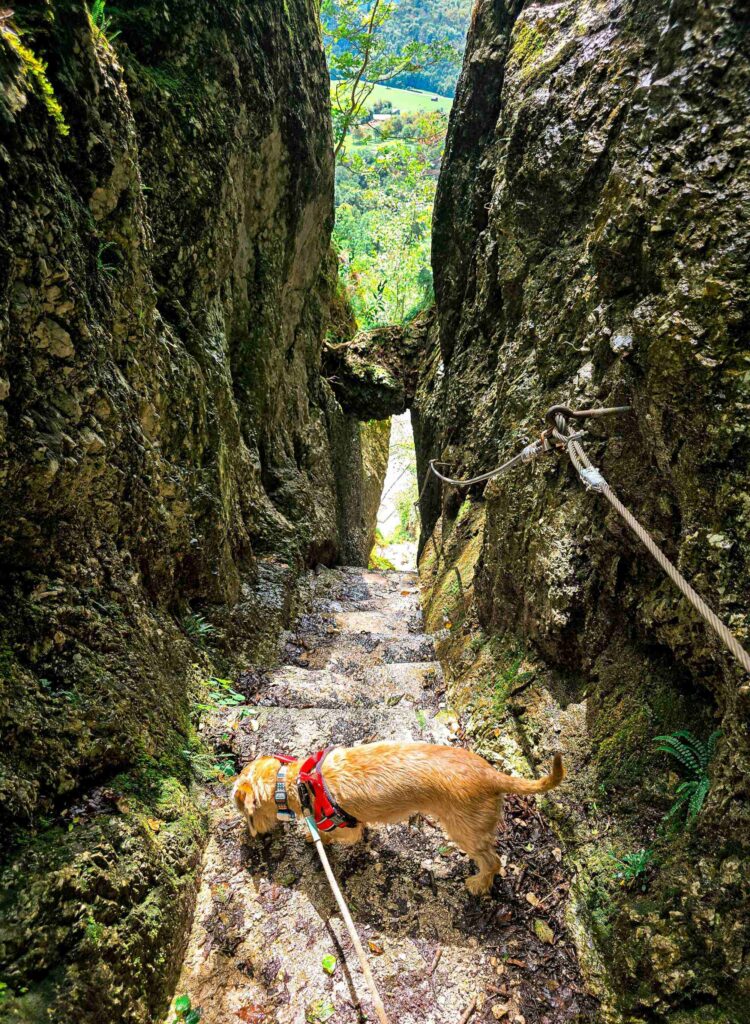 kobarid_historical_trail_soca