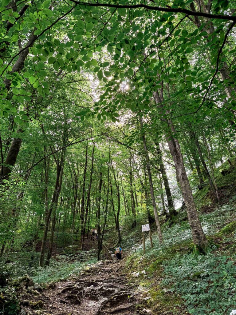 kobarid_historical_trail_soca