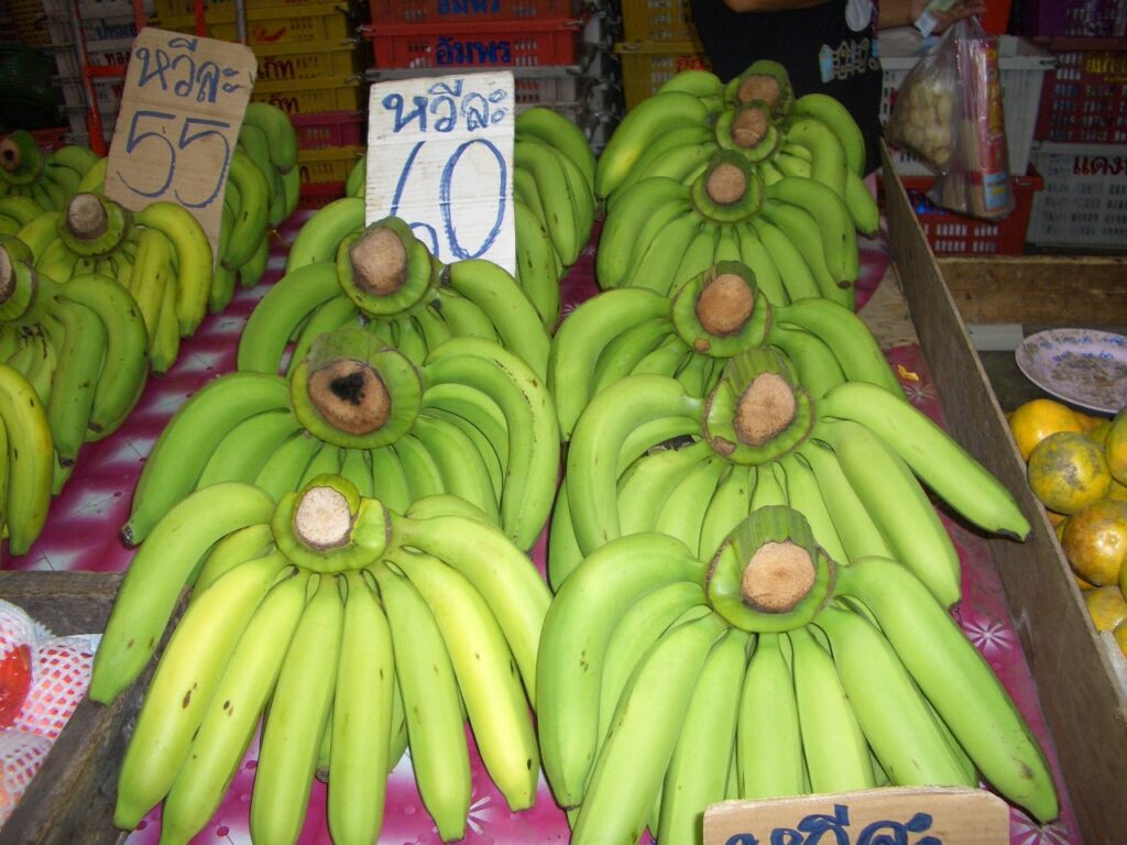 Najpoznatije-trznice