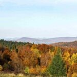 javorova_kosa_ravna_gora