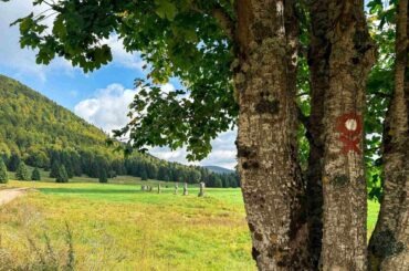 malo_pomalo_mrkopalj