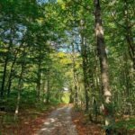 malo_pomalo_mrkopalj