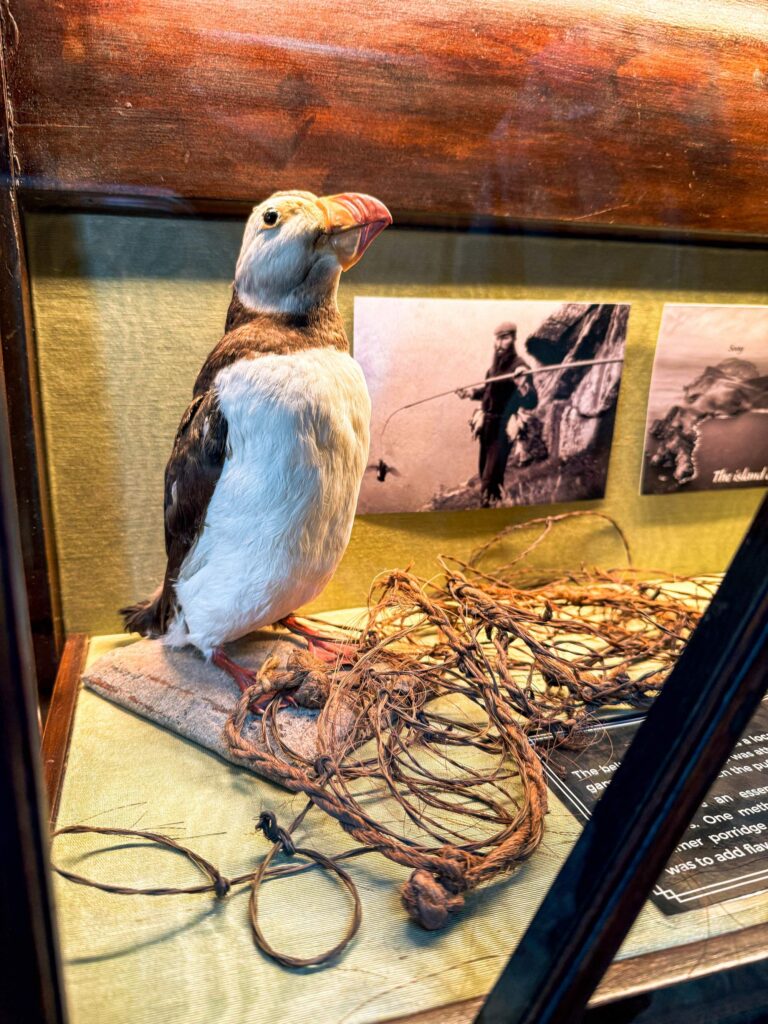 skotska_roadtrip_isle_of_skye