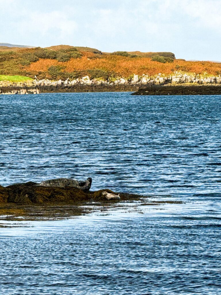 skotska_roadtrip_isle_of_skye