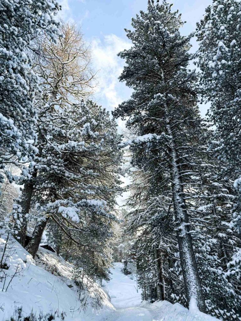 turracher_hohe_austrija