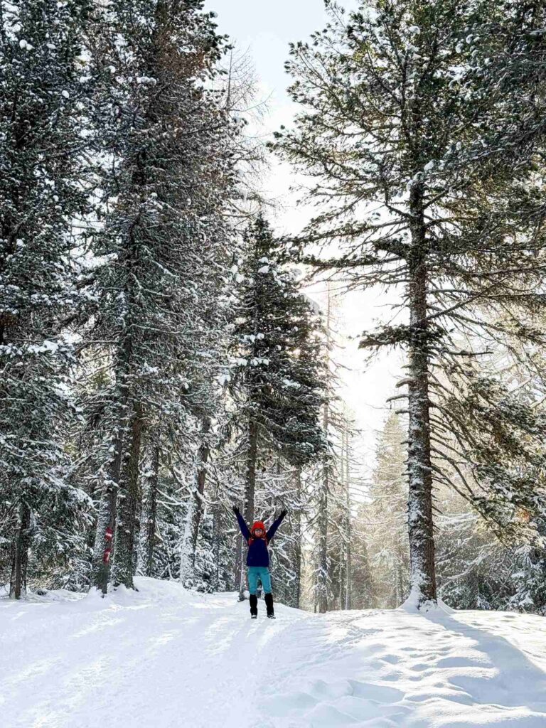 turracher_hohe_austrija