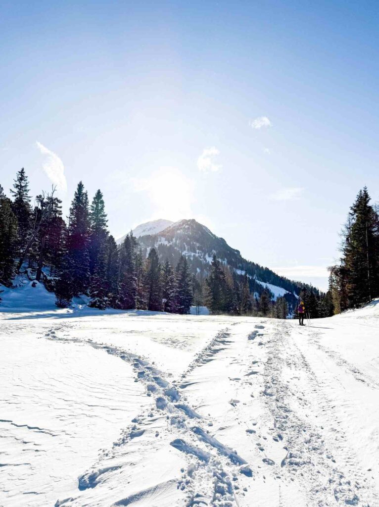 turracher_hohe_austrija