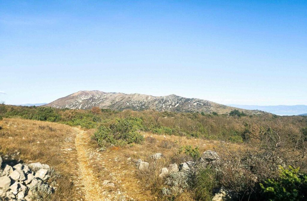staza_bella_vista_istra_rabac