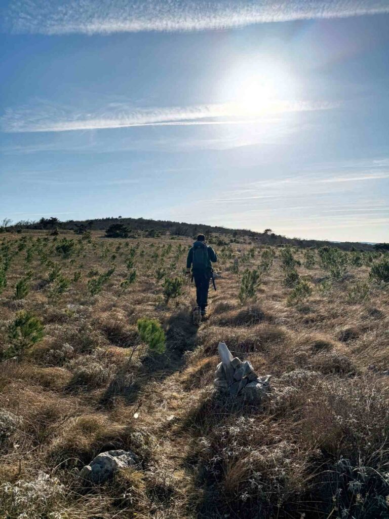 staza_bella_vista_istra_rabac