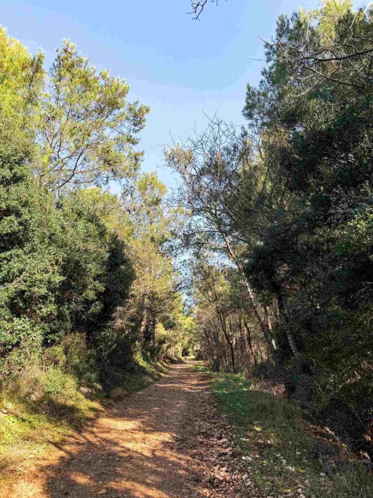 staza_bella_vista_istra_rabac