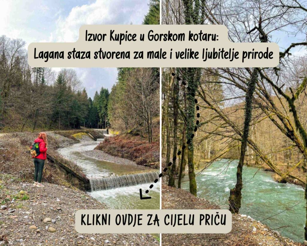 izvor_kupice