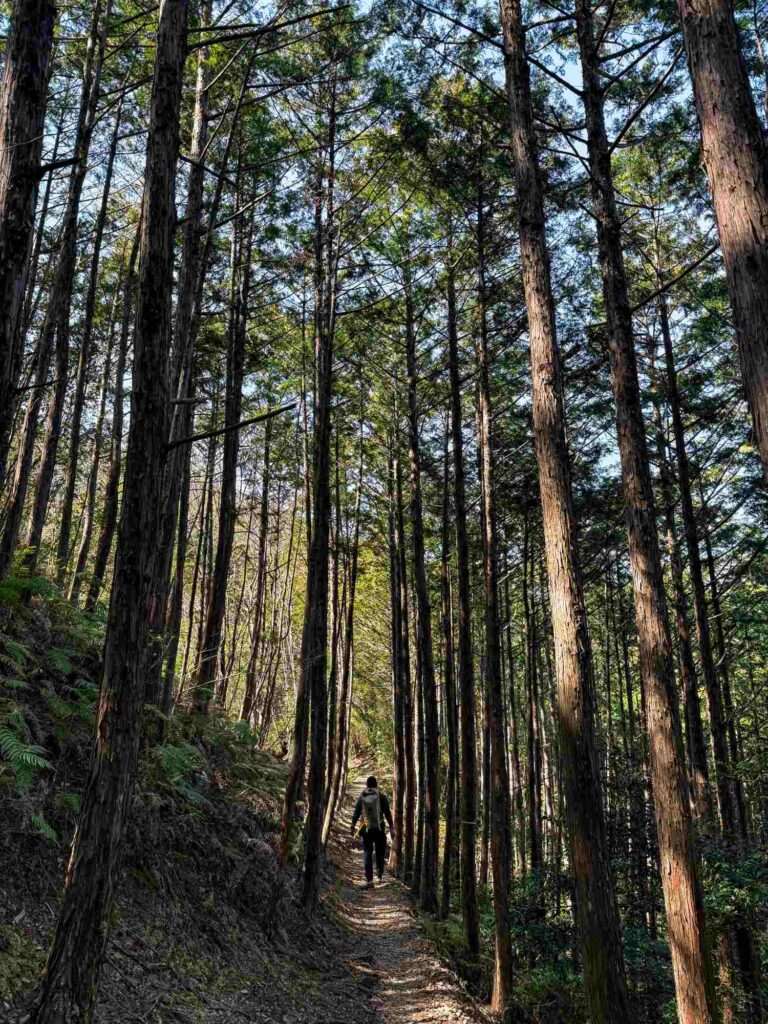 japan_kumano_kodo