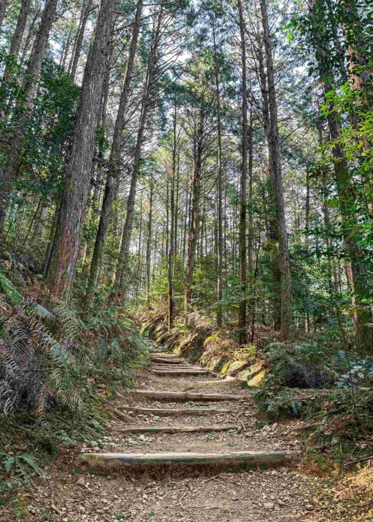 japan_kumano_kodo