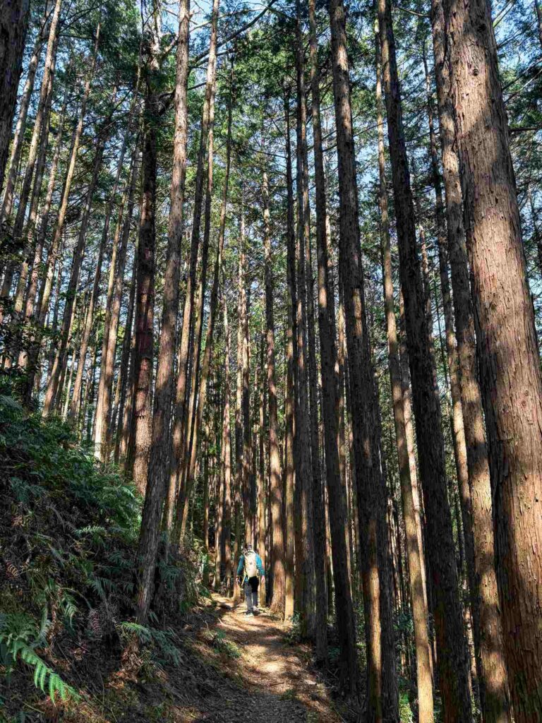 japan_kumano_kodo