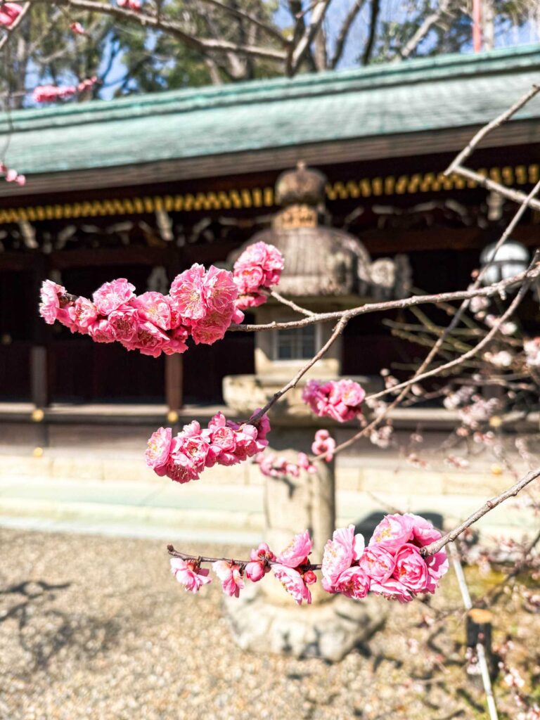 japan_kyoto_