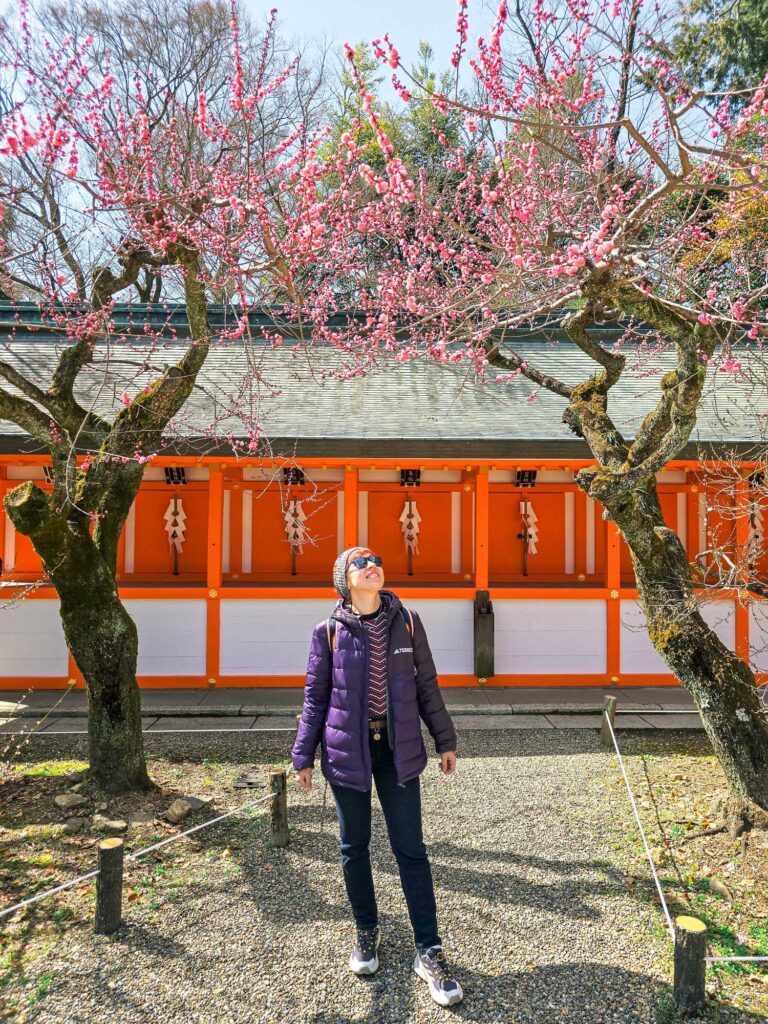 japan_kyoto_