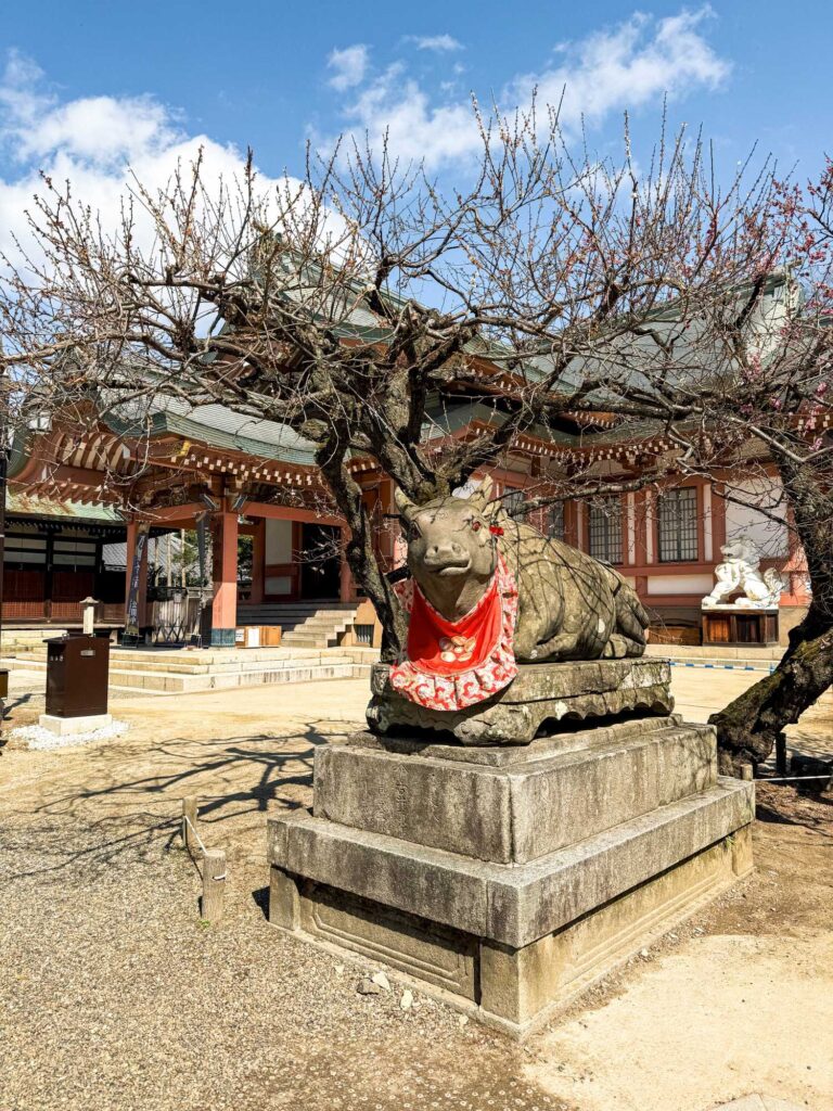 japan_kyoto_