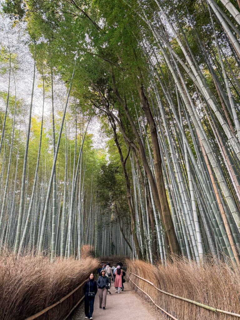 japan_kyoto_