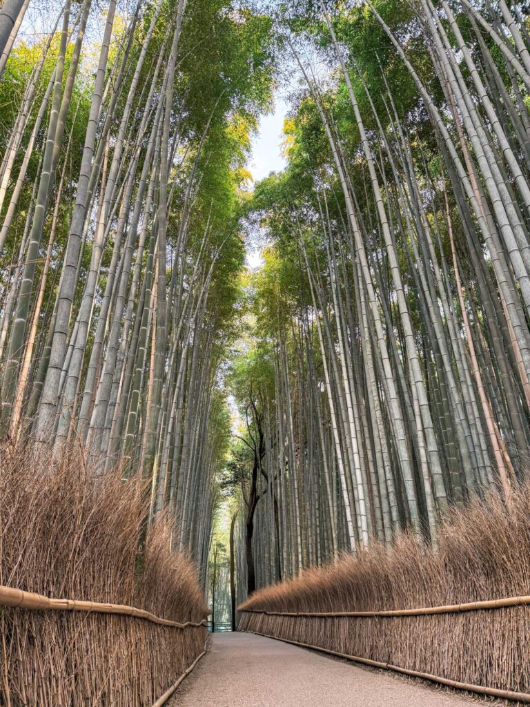 japan_kyoto_