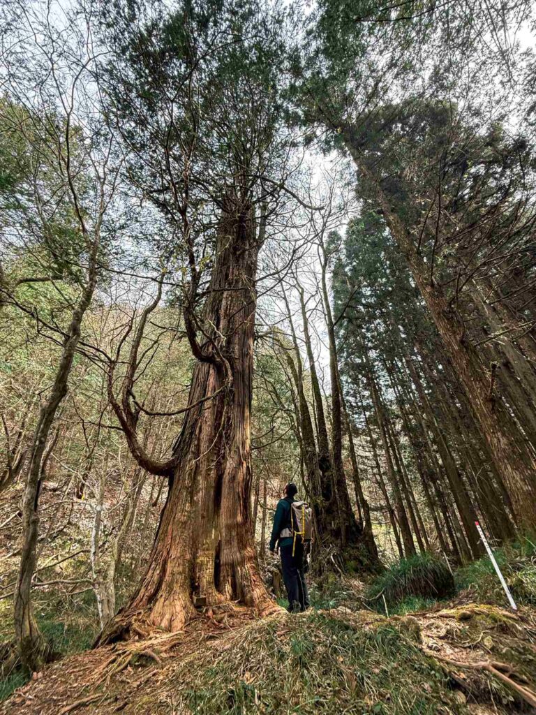 japan_nakasendo_trail