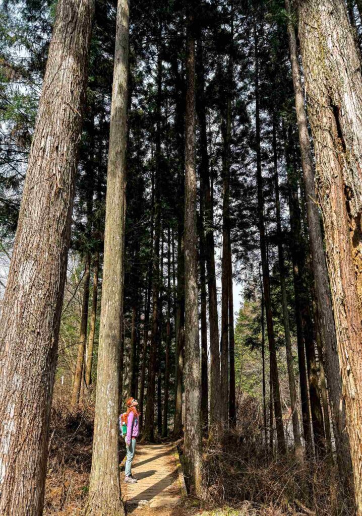japan_nakasendo_trail