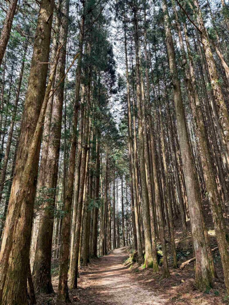 japan_nakasendo_trail