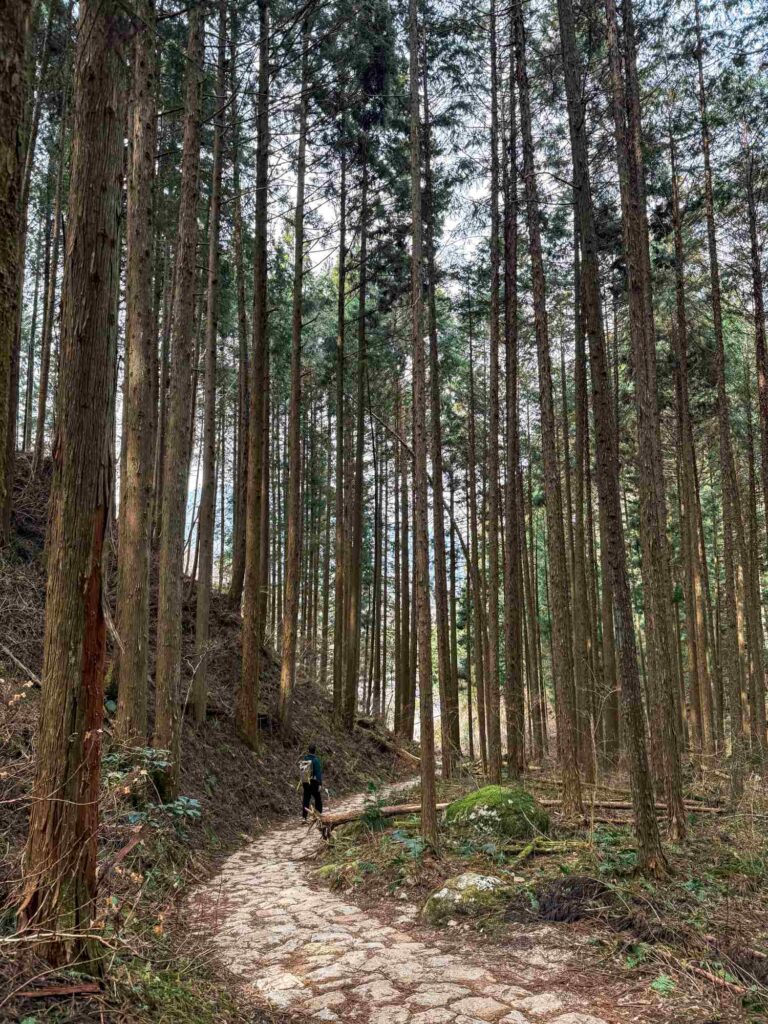 japan_nakasendo_trail