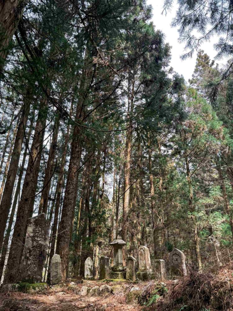 japan_nakasendo_trail