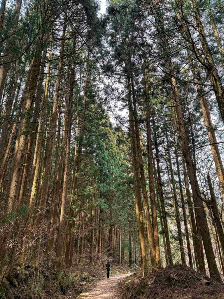 japan_nakasendo_trail