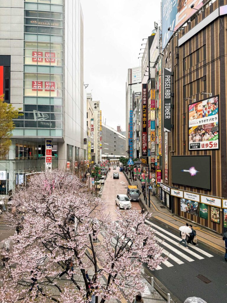 japan_tokyo