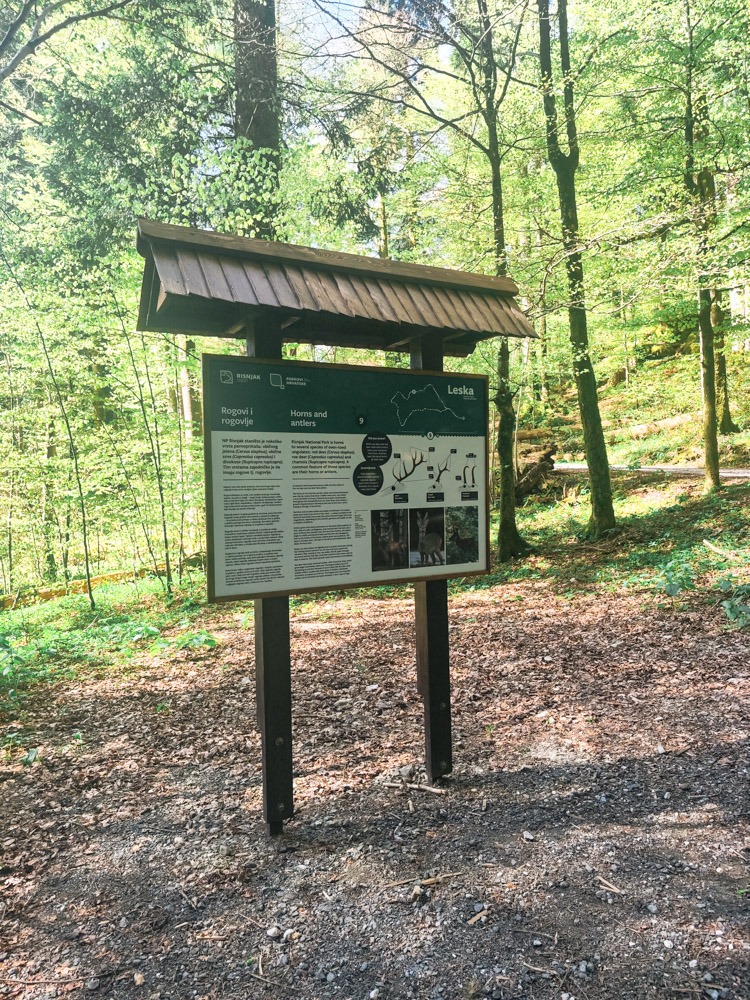 poucna_staza_leska_obnova1