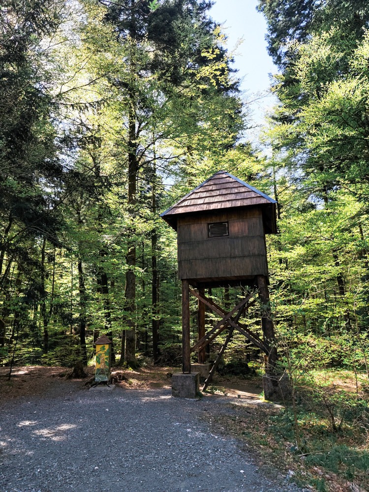 poucna_staza_leska_obnova1