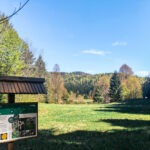 poucna_staza_leska_obnova