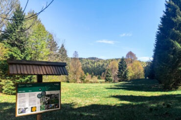 poucna_staza_leska_obnova