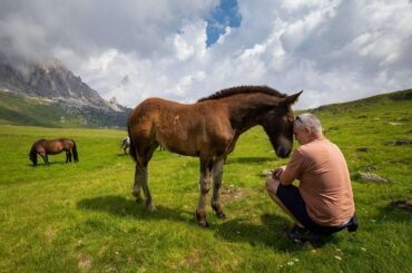 vodic_po_kninu_mico_samardzija