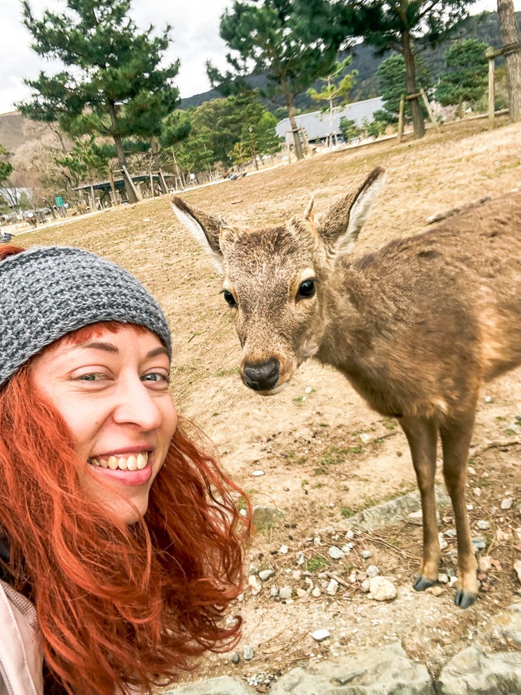 japan_nara
