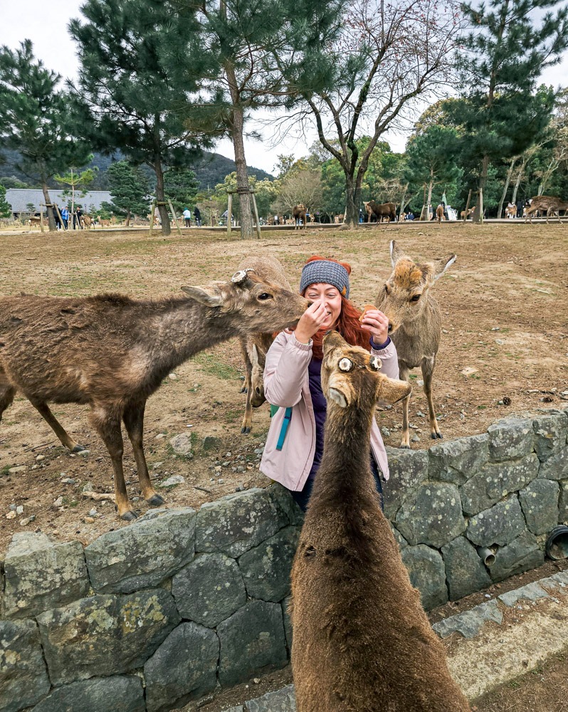 japan_nara