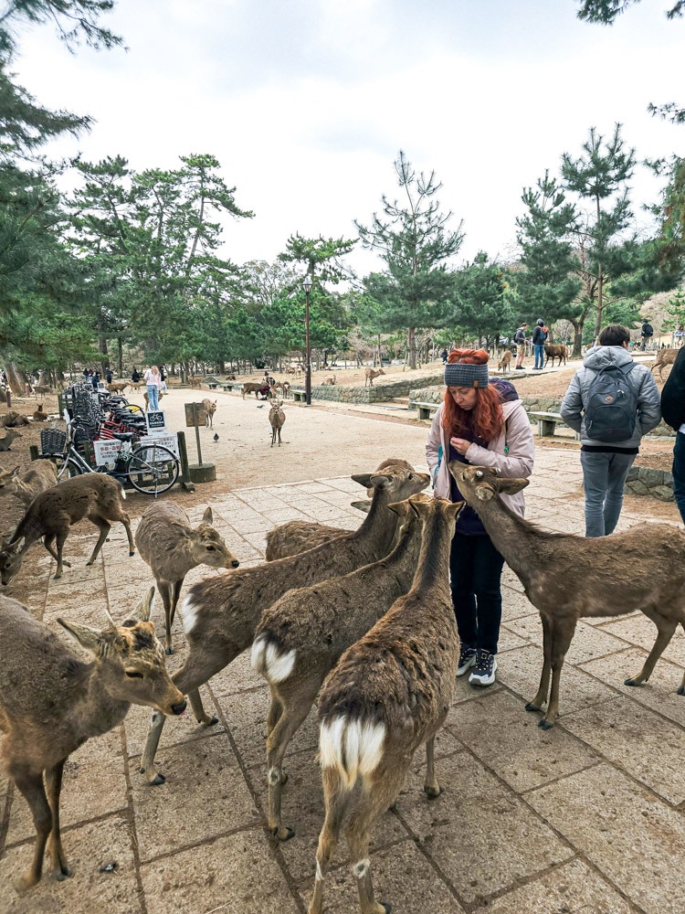 japan_nara