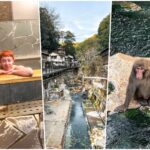 onsen_japan