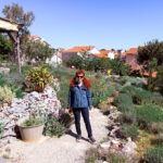 otok_losinj