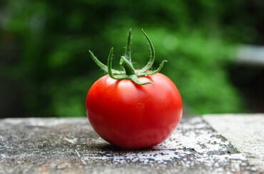 Kako je rajčica promijenila Europu, a da nitko nije ni primijetio