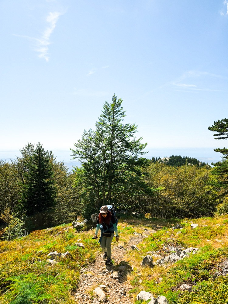 sjeverni_velebit_zavizan17